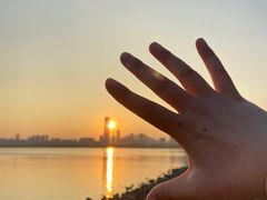 -深圳湾公园(南山区)