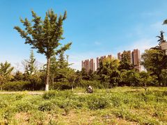 -济南国际园博园