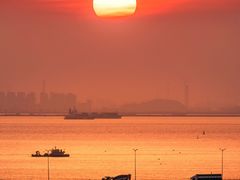 -宝安西湾红树林湿地公园