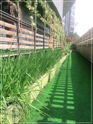 -可可天空农场(中大店)