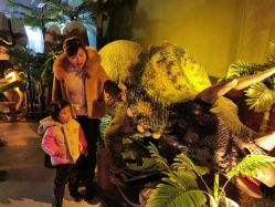 -恐龙探索乐园(磁器口店)