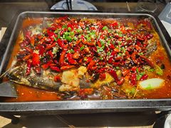 海鲈鱼-炉鱼(萧山万象汇店)