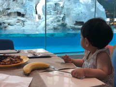 -帝企鹅自助餐厅•儿童岛•真企鹅(长隆企鹅酒店)