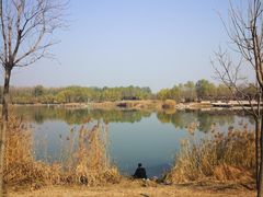 -马家湾湿地公园