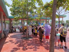 -秦皇岛乐岛海洋王国