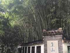 -焦山风景区