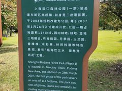 -上海滨江森林公园