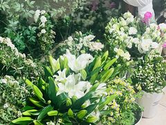 -Jo's Garden