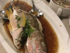 -Isla Sugbu Seafood City