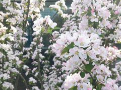 -小胡子祥彪烧烤(北湖总店)