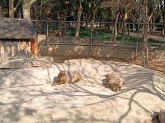 -宁波野生动物园