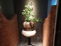 -黄山老妈·土菜(碧桂园店)