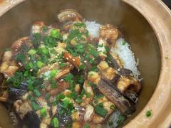 白鳝黄鳝双拼-红星光发煲仔饭(文海店)