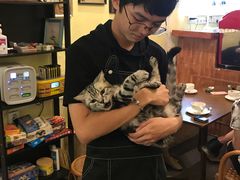 -猫色咖啡·猫咖