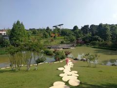 -铁山坪森林公园