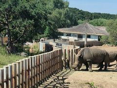 -沈阳森林动物园