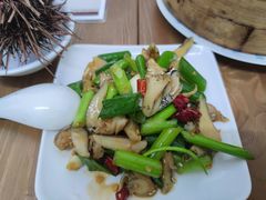 凉拌假鲍鱼-海胆小馆(东北水饺·春柳店)