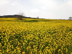 -西海岸生态观光园