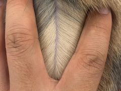 -comecome来吧宠物(奥克斯中心店)