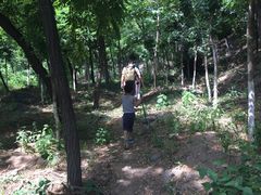 -阳台山自然风景区