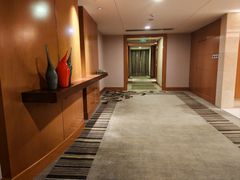 -上海浦东康桥绿地假日酒店