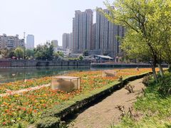 -九眼桥码头旧址
