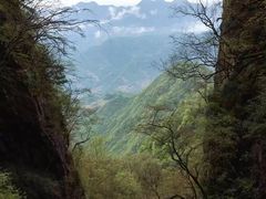 -塔云山