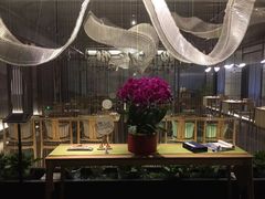 店内布置-素慧餐厅(大虹桥店)