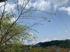-南山植物园