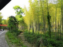 -黄公望隐居地