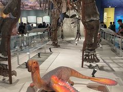 -国家自然博物馆