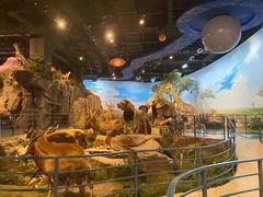 -陕西自然博物馆