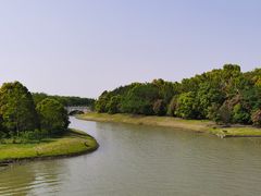 -上海海湾国家森林公园