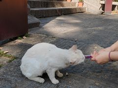 -宝通禅寺