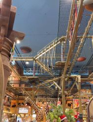 -卡通尼·Safari非洲探索乐园·生日会(金桥国际商业广场店)