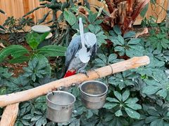 -南宫五洲植物乐园