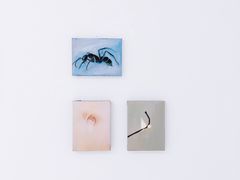 -胶囊画廊