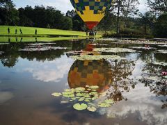 -中国科学院西双版纳热带植物园