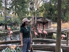 -清迈夜间动物园