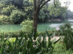 -缙云山景区