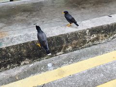 -甘榜格南公园