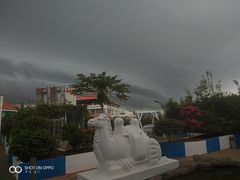 -马大胡子清真西北菜