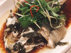 -顺德佬华侨城店·商务宴请·团建