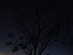-鬼笑石后山停车场