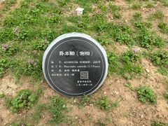 -中岳庙