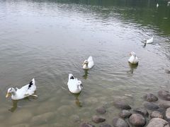 -西安曲江寒窑遗址公园