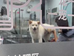 -宠物家(长阳店)