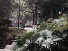 -晓港公园