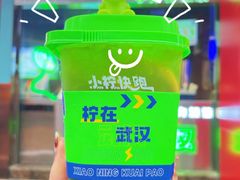 原谅绿手打柠檬茶-小柠快跑·手打柠檬茶(万松园店)