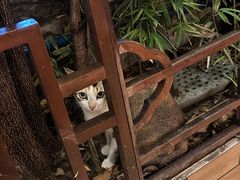 -抱德·潮汕味(敦和店原惠城鱼仔)